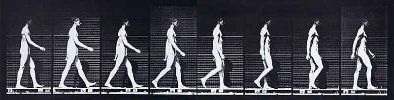 Muybridge