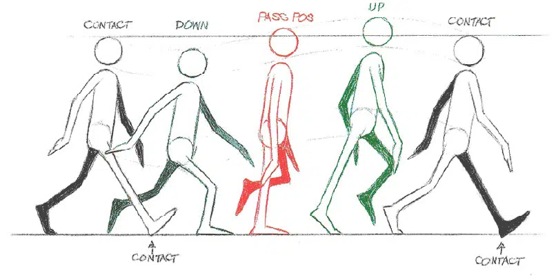 Two Kinds of Walk Cycles - IdeaRocket