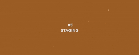 12 principles of animation staging gif