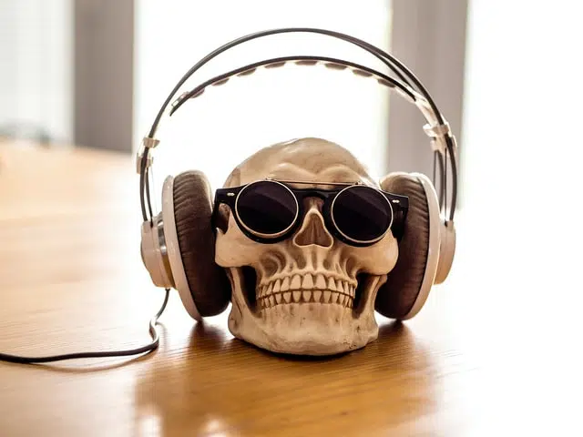 skull wearing sunglasses and over-ear headphones