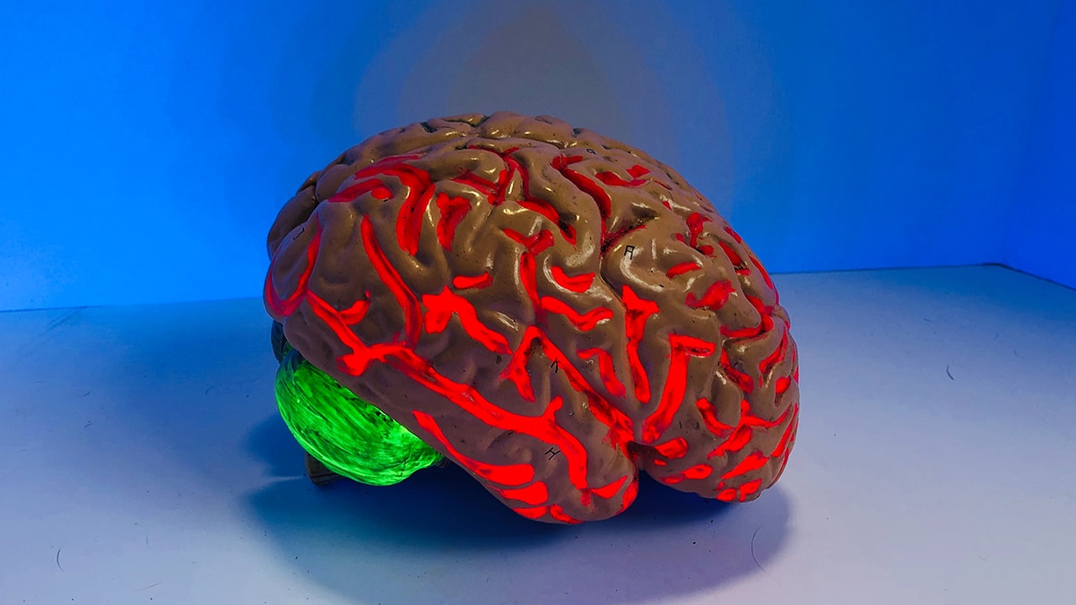 brain model with a glow in it