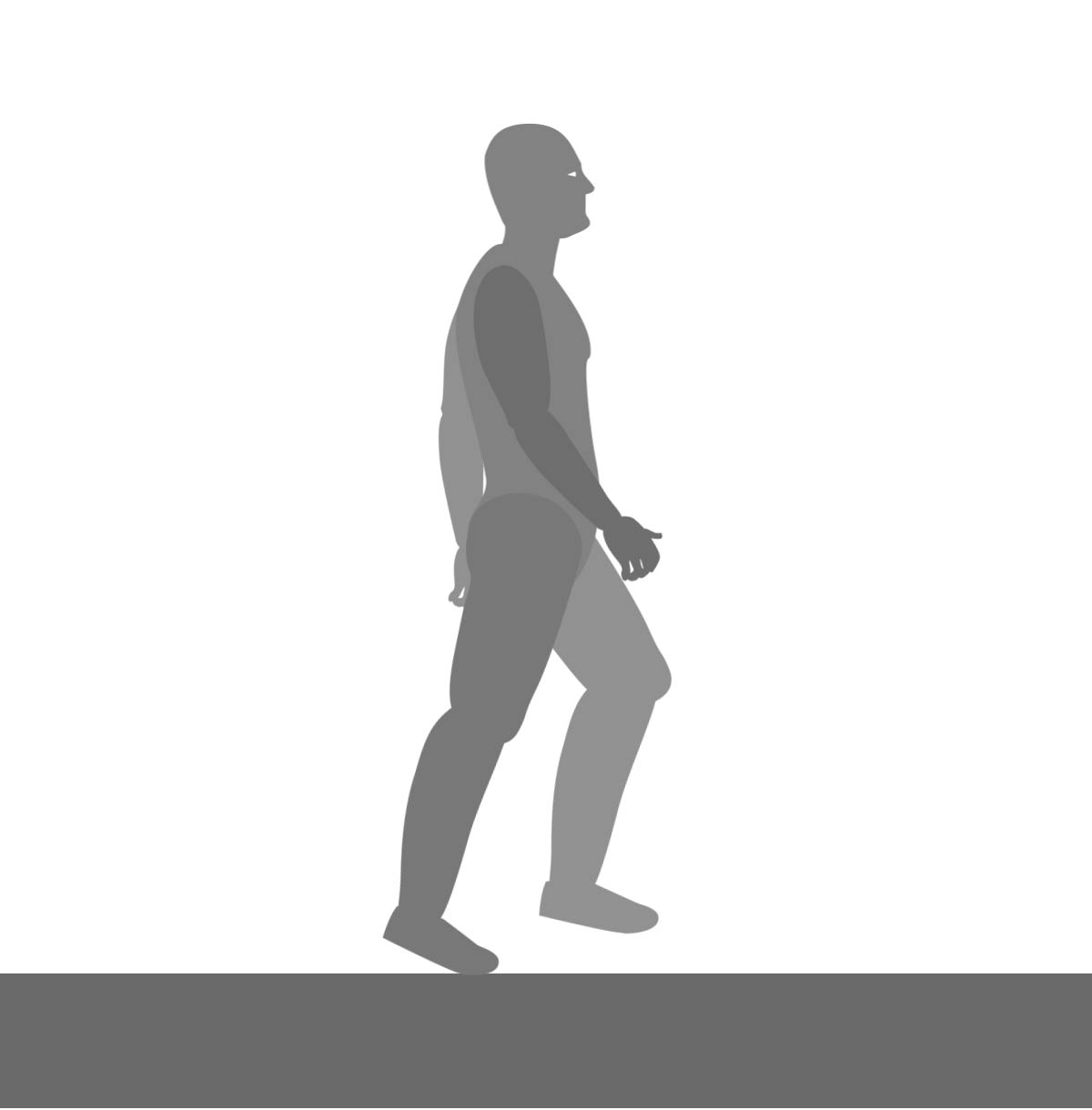 Walk cycle push-off pose: the back foot rises onto the toe and the body reaches the highest point of the walk